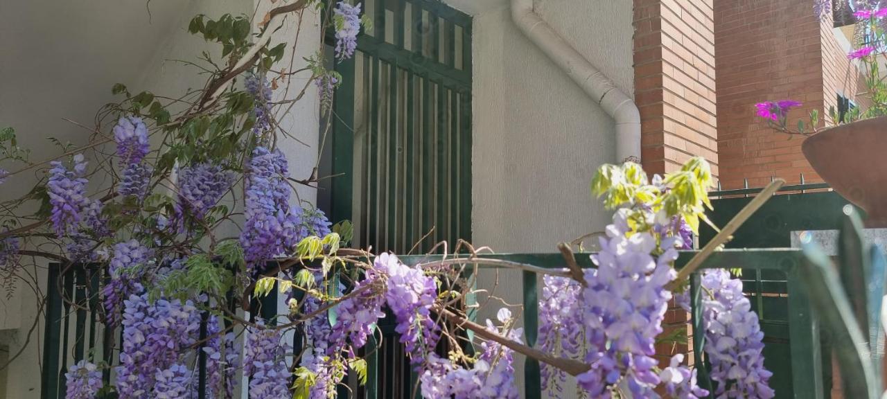 Casadei24 Διαμέρισμα Guidonia Εξωτερικό φωτογραφία